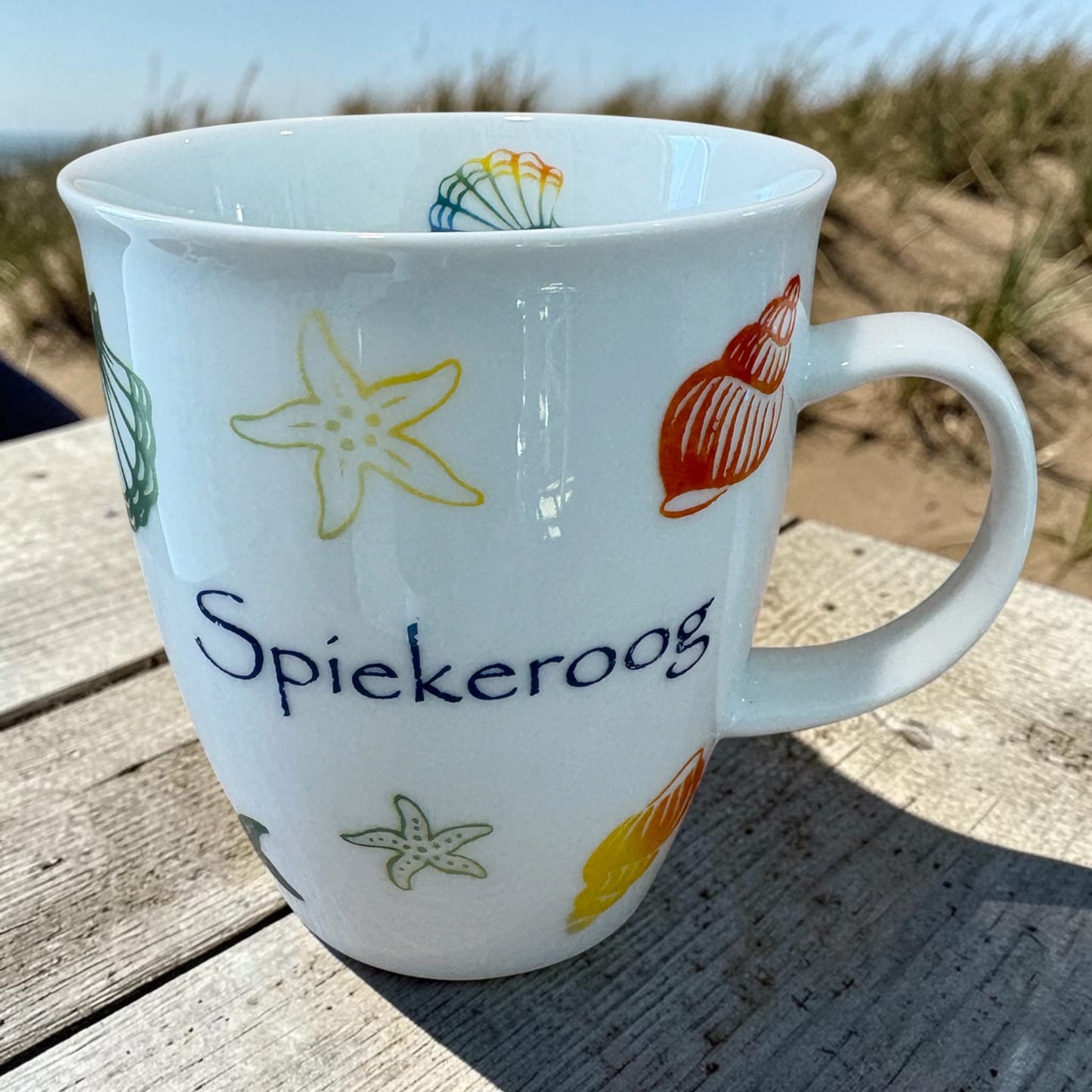 Spiekerooger Muschelbecher bunt