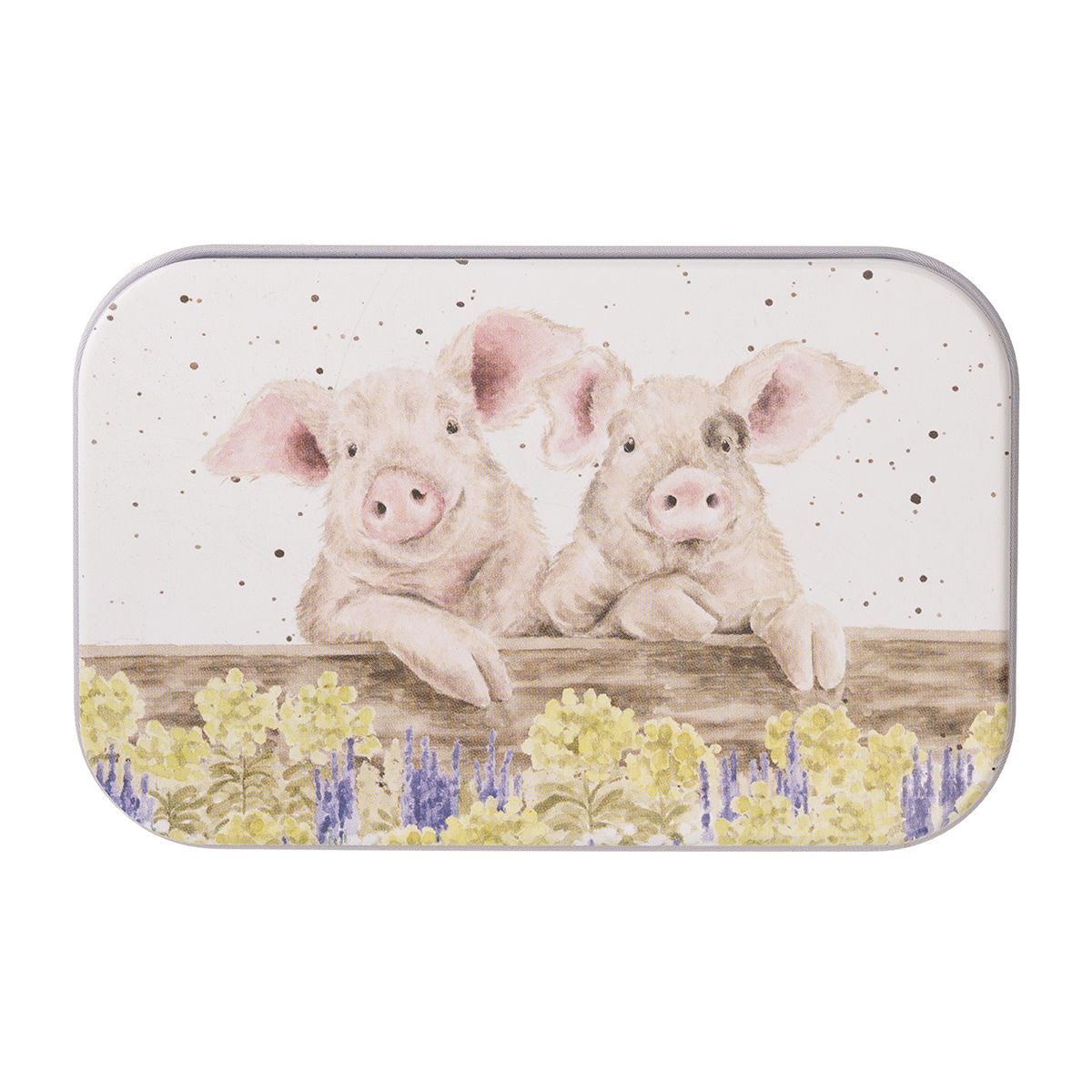 Wrendale Designs Minidose Pig Nosy Neighboars